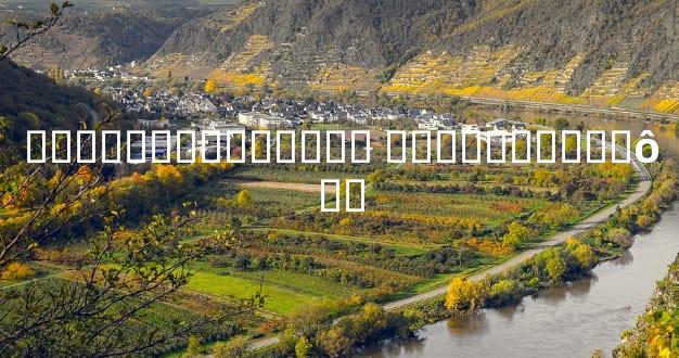 ����ȧ�Ǹ������� ����ȧ�Ǹ���ô��